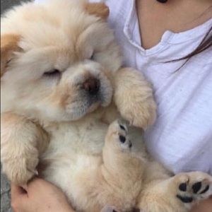 Meet your Posher, Kimiya